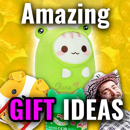 Amazing Gift Ideas